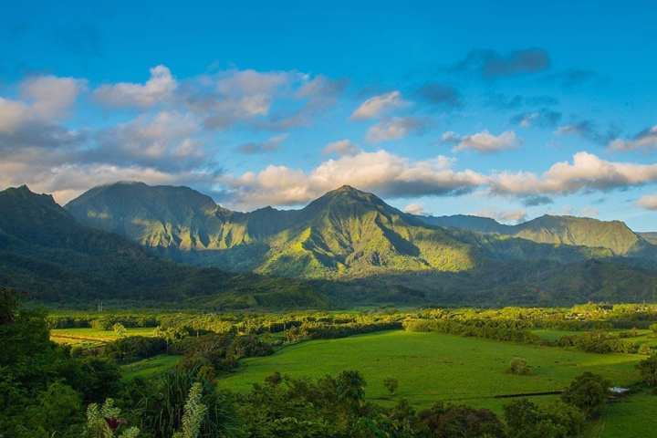 a large green field with a mountain in the background