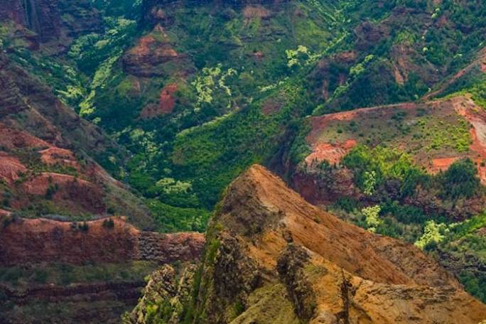 Tourists-Overlooking-Waimea-Canyon