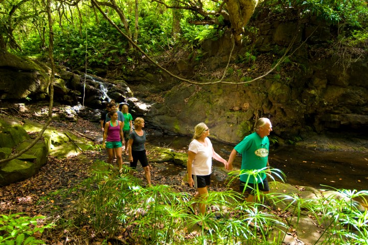 Hidden-Valley-Falls-Hike