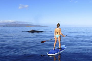 a man riding a surf board on a body of water