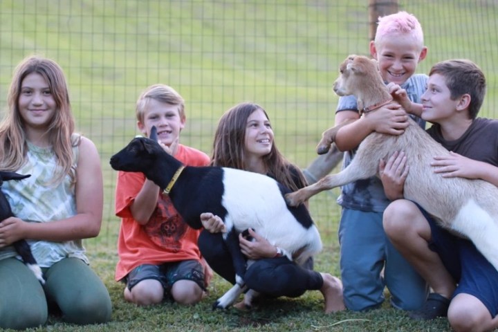 a group of people sitting in the grass