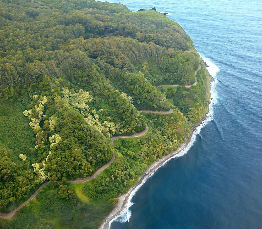 a close up of a hillside next to a body of water