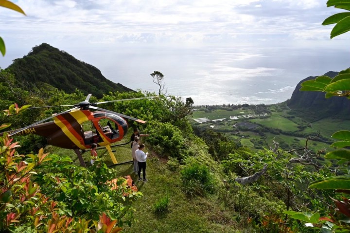 a group of people walking on a grassy hill